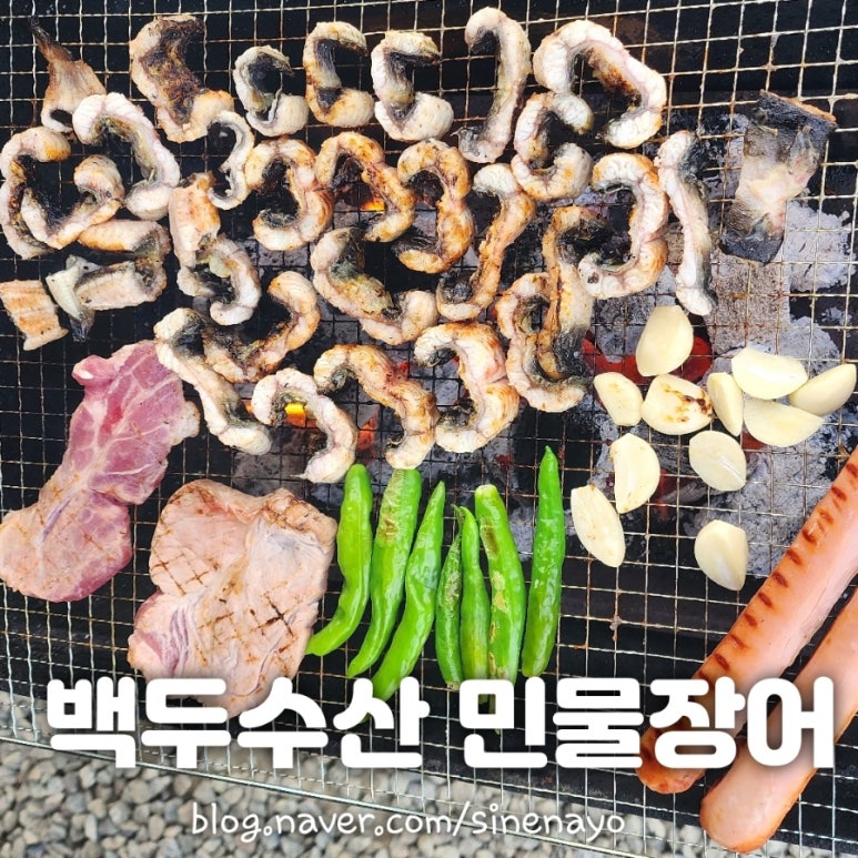 국산민물장어한마리 이미지