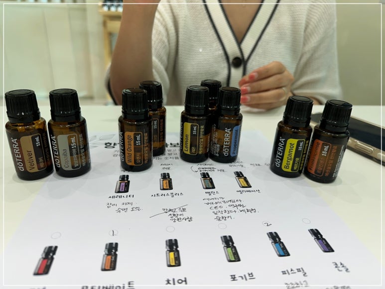 켈리스파 이미지