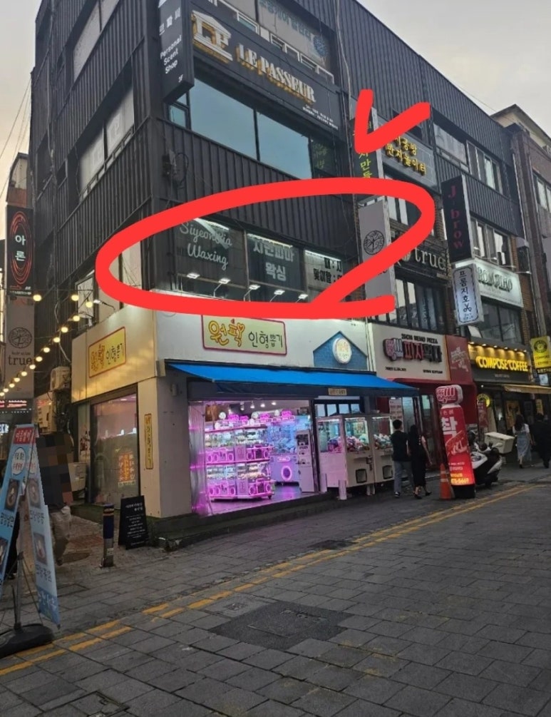 시연피아 이미지