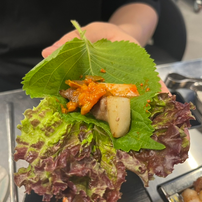 육쥽돼지 이미지