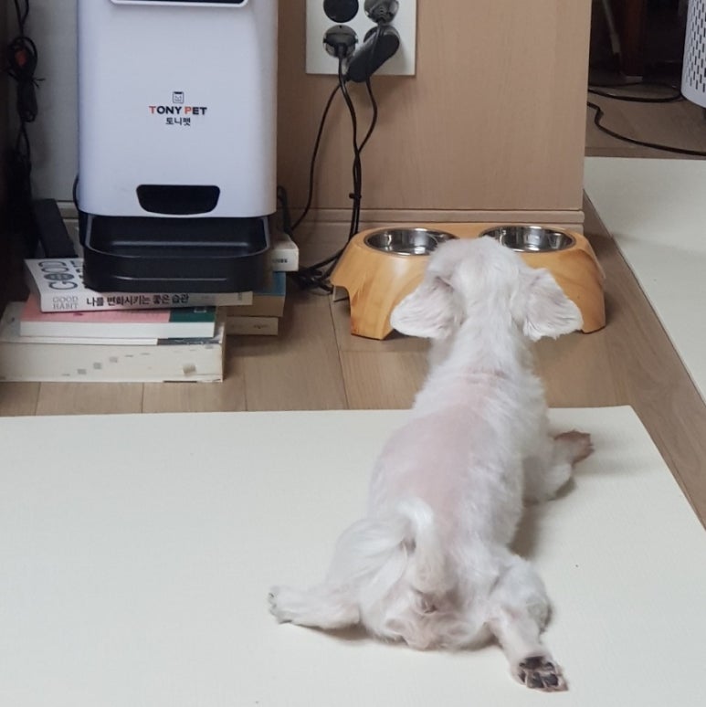 임대장천안청당점 이미지