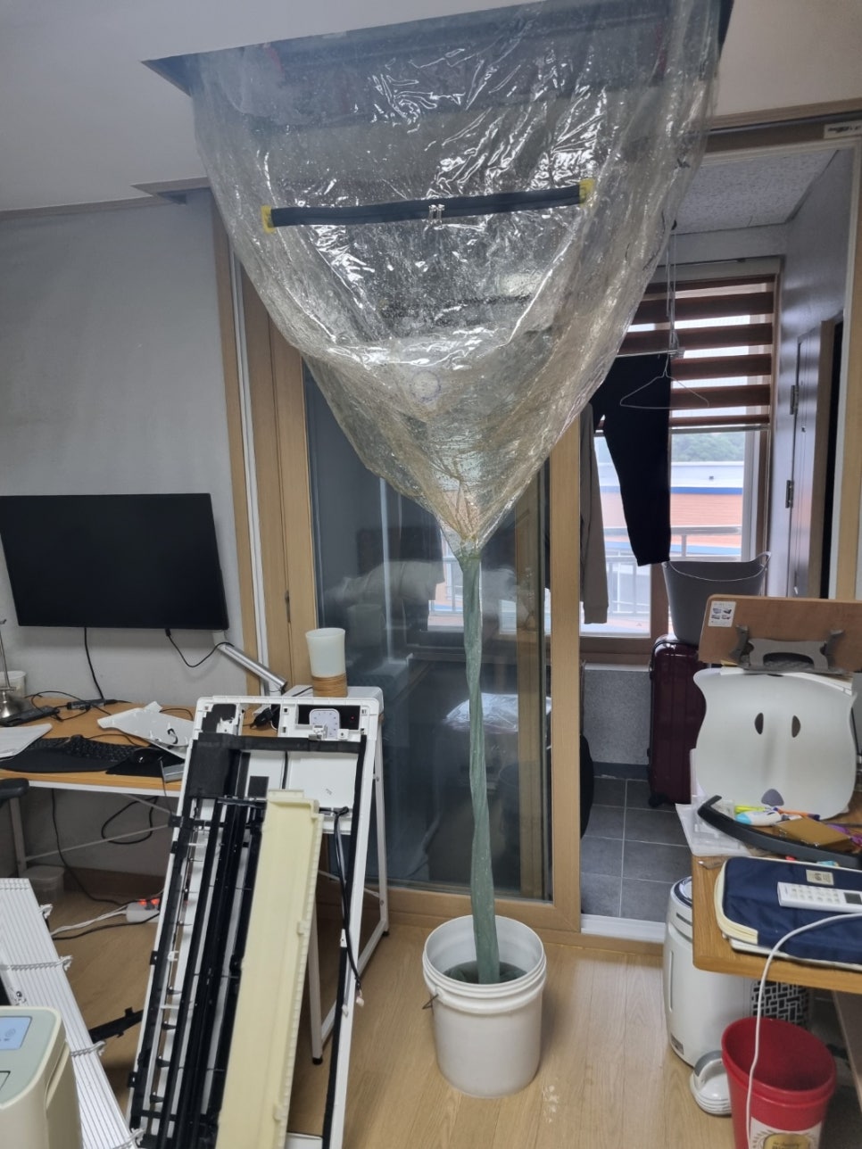 소안초등학교 이미지