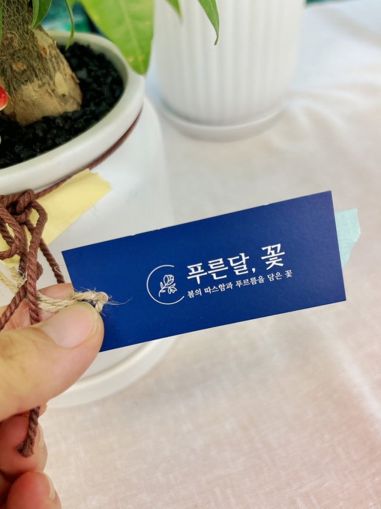 화양꽃집 이미지