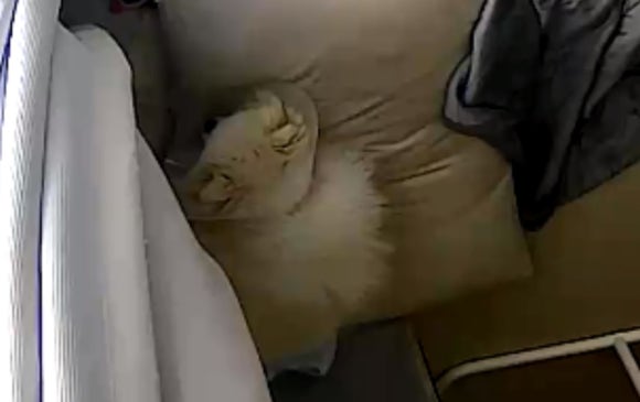 에이뷰티스튜디오 이미지