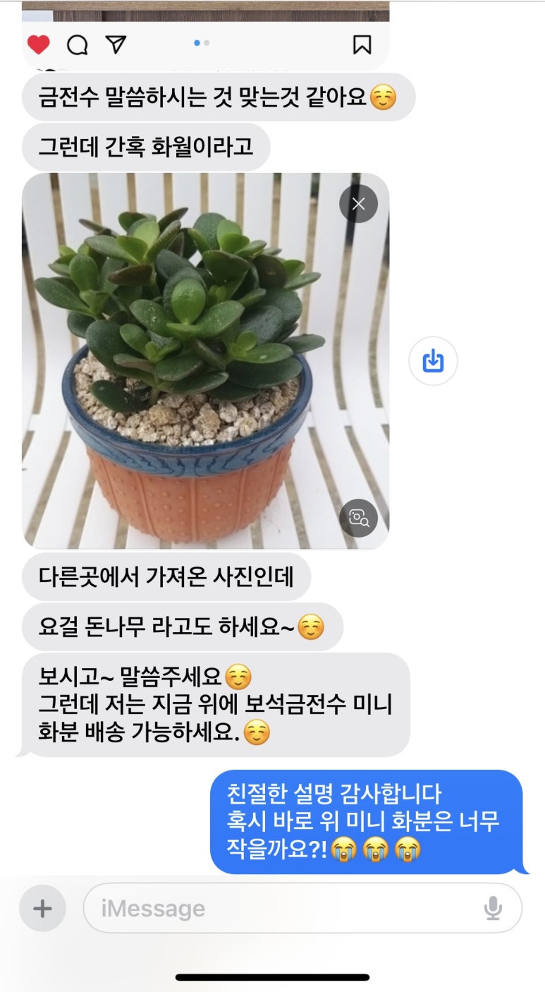 꽃송아리 이미지