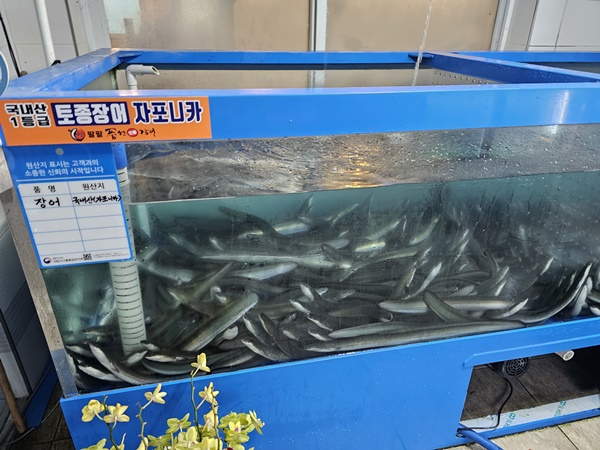 팔팔풍천민물장어 이미지
