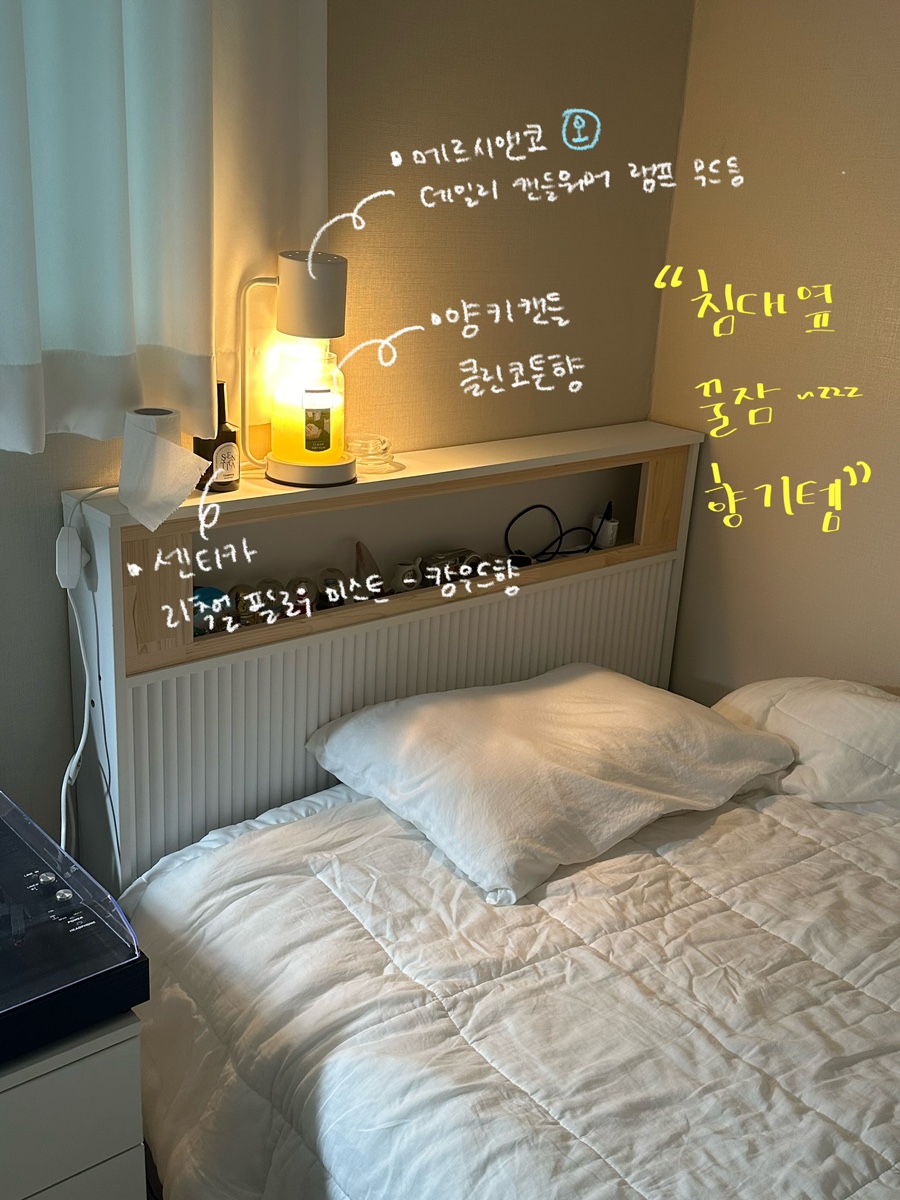 캄앤코 이미지