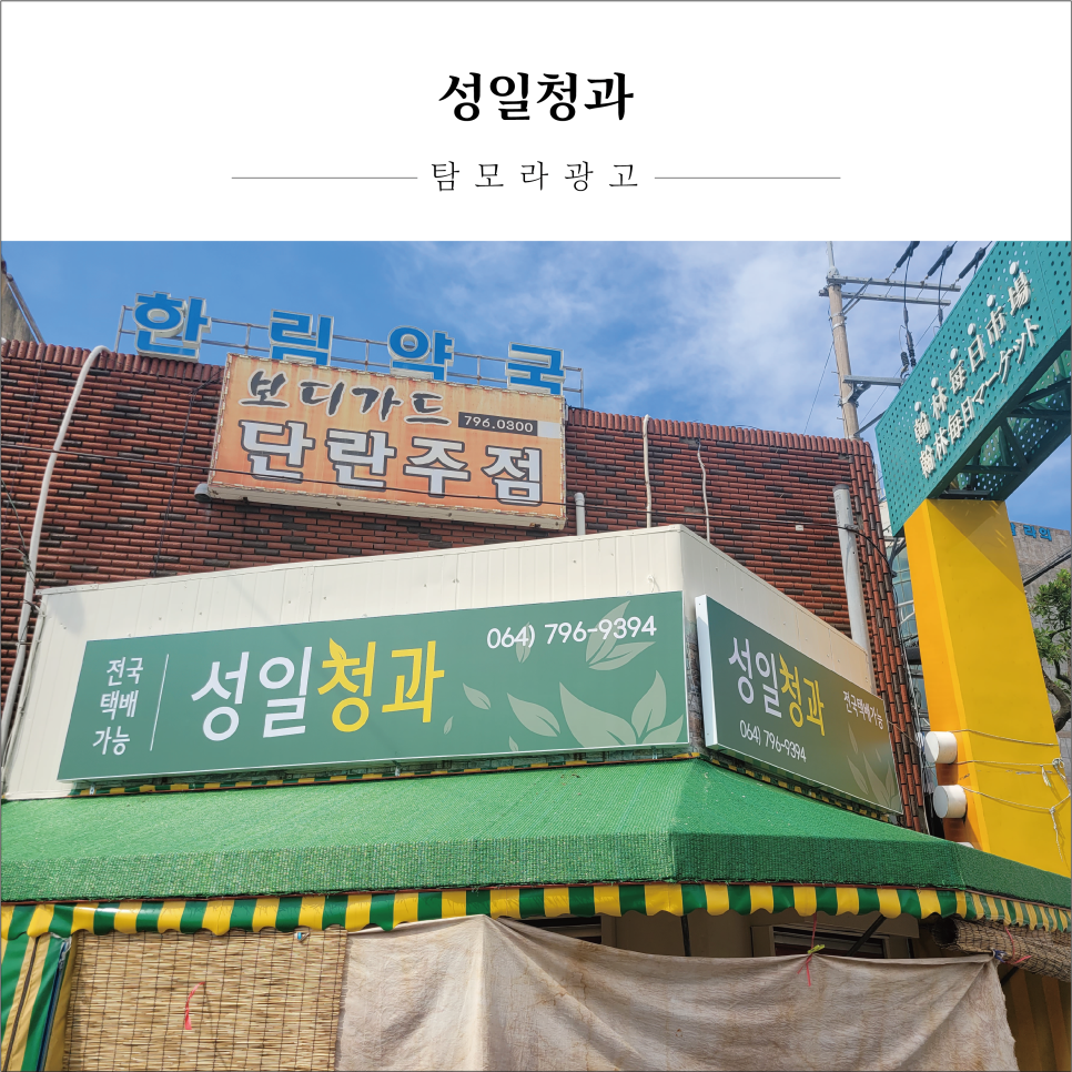 성일청과 이미지