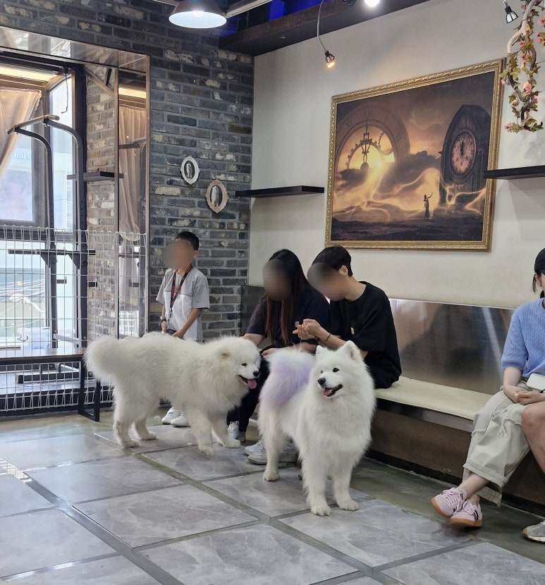 겨울이머무는집 이미지