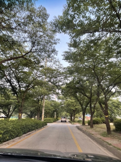 숲750 이미지