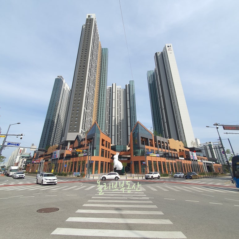 해성미트 이미지