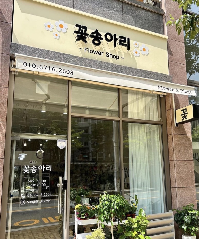 꽃송아리 이미지