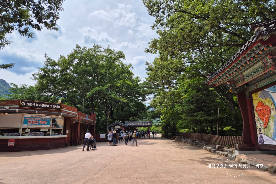 비룡수산 이미지