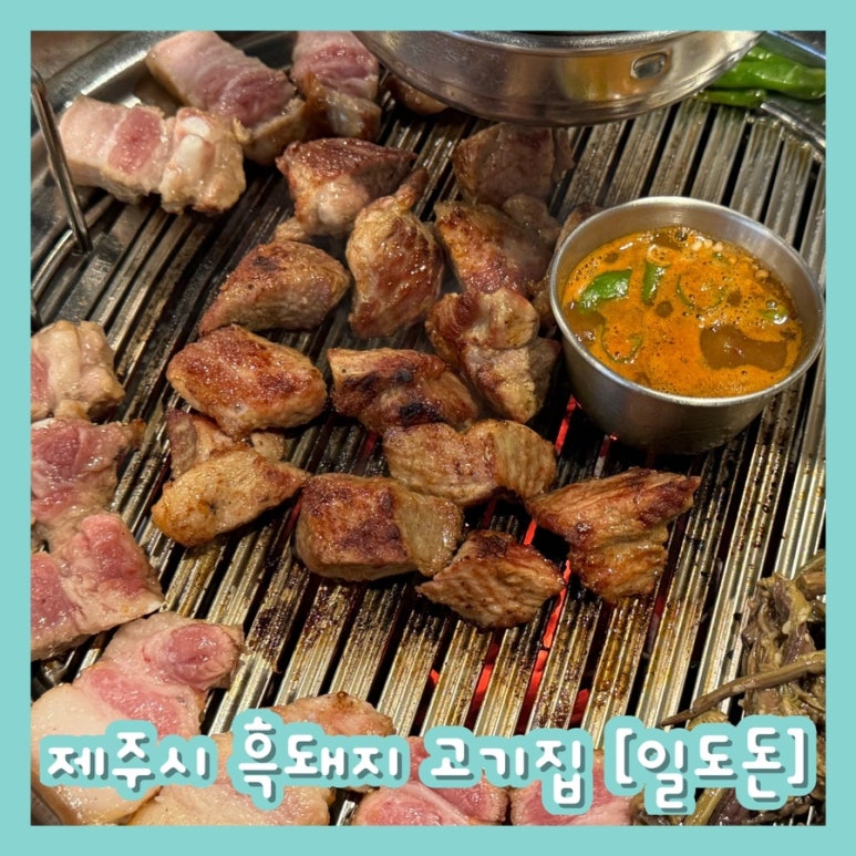 일도돈 이미지