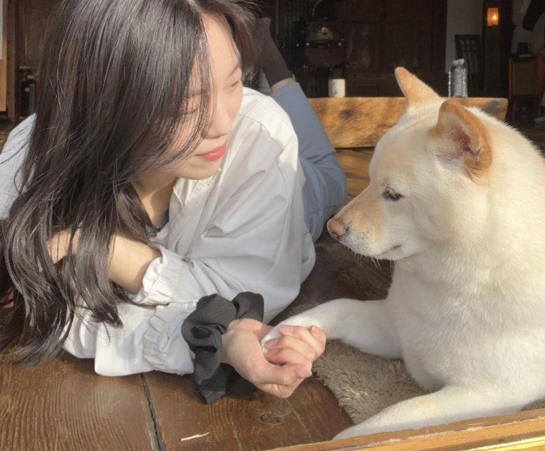 스테이영양둘째 이미지