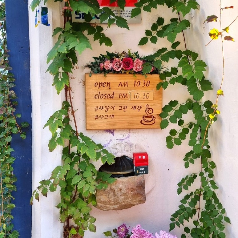 그린세상 이미지