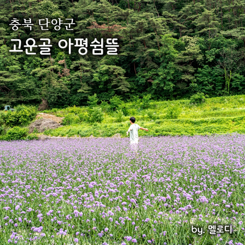 꽃뜰여행 이미지