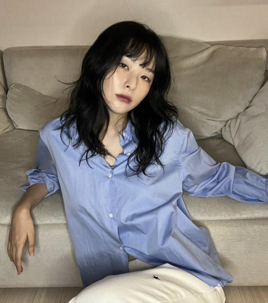 벨리티 이미지