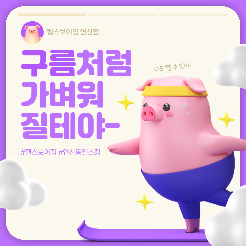 다돼지 이미지