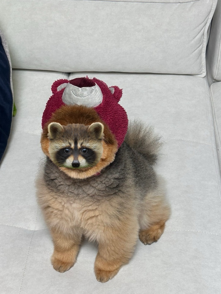 예원데코 이미지