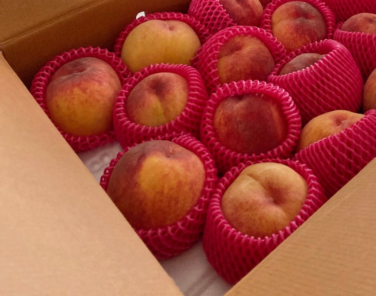 칠월애 이미지