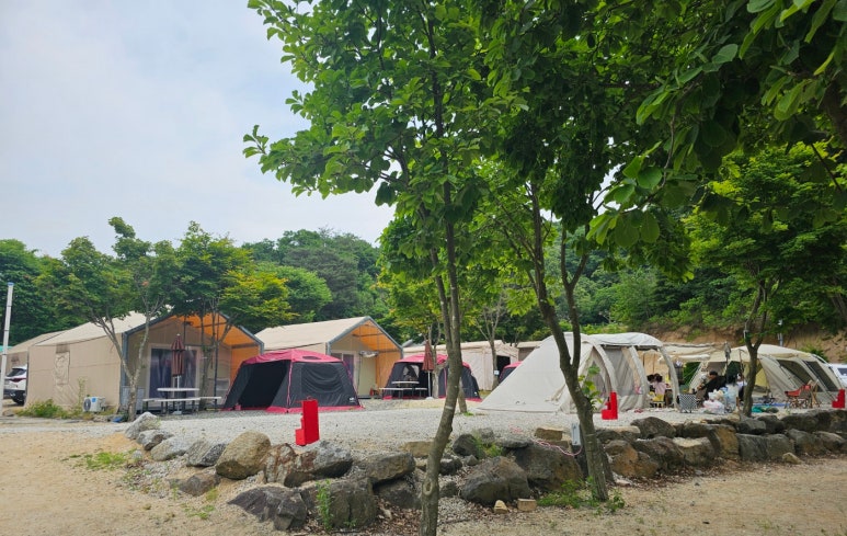 포천예담가족캠핑장&글램핑 이미지
