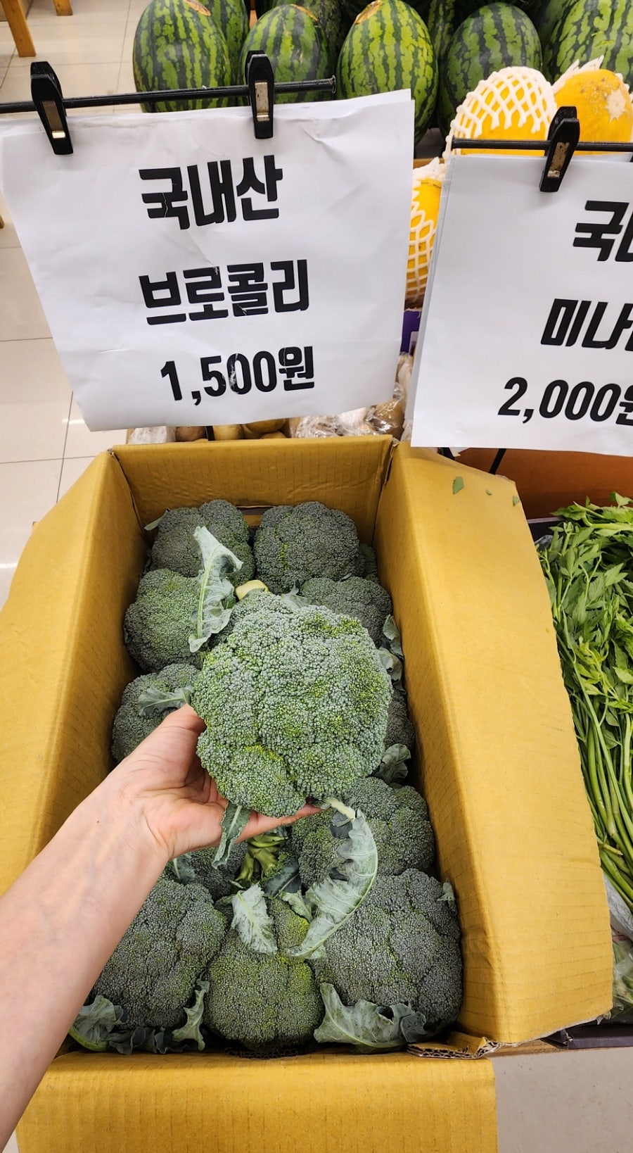 JH한바구니 이미지
