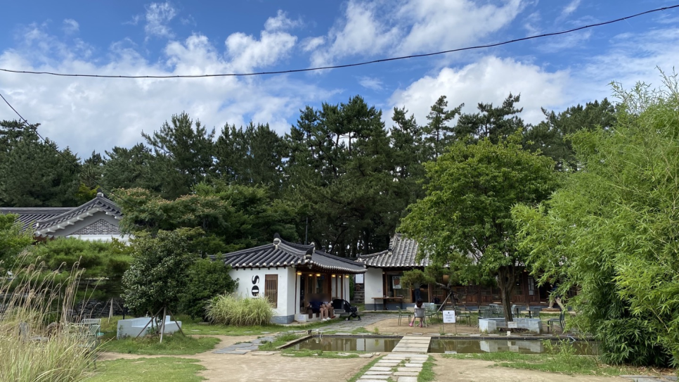 솔경주 이미지