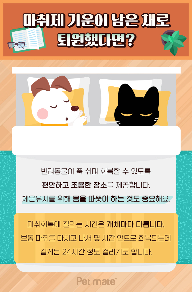 행복한홈케어 이미지