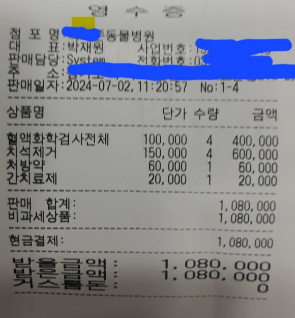 백와간 이미지