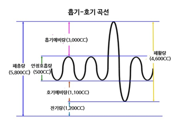 대한음성교정협회 이미지