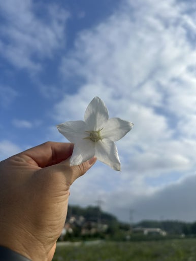 청청농부 이미지