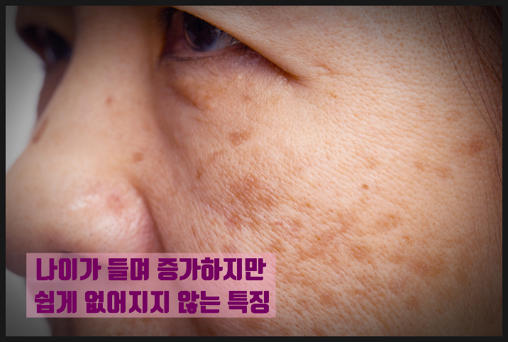한마음크리닉 이미지