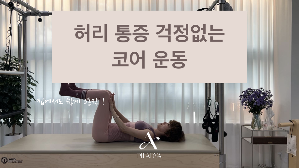 필라디아 이미지