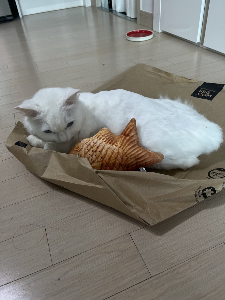 더플라스틱 이미지