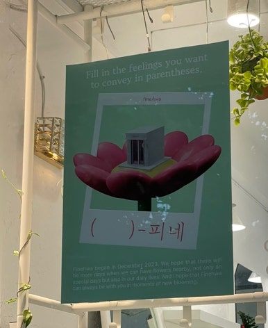 피네화 이미지