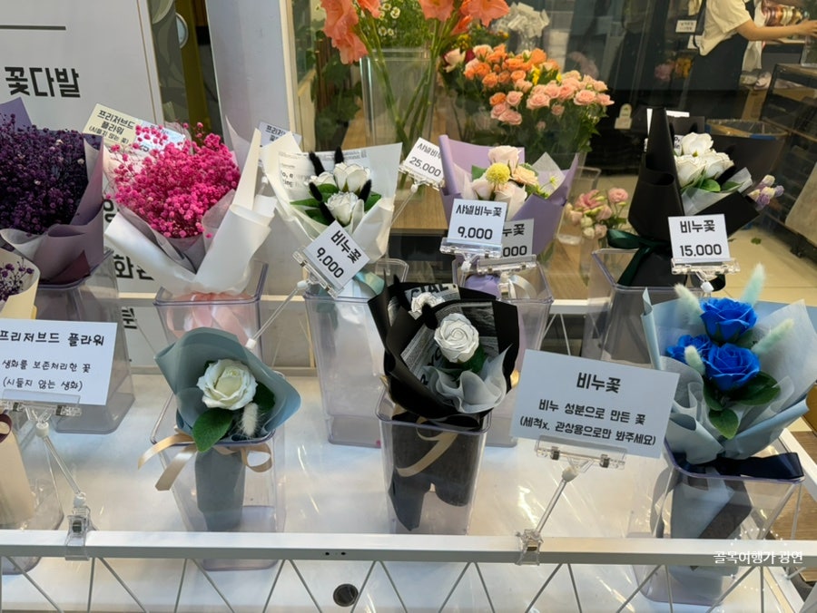 호랭이꽃집 이미지
