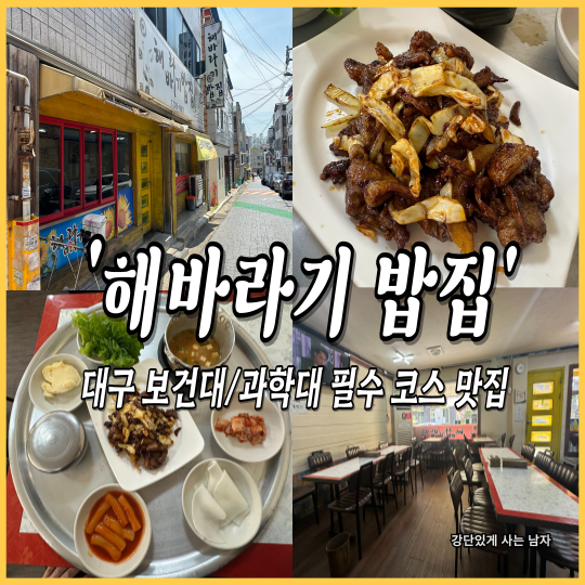 해바라기밥집 이미지