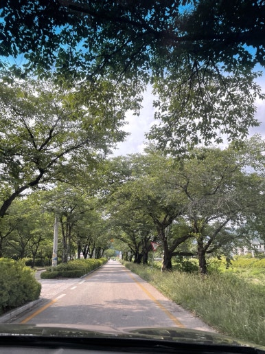 숲750 이미지