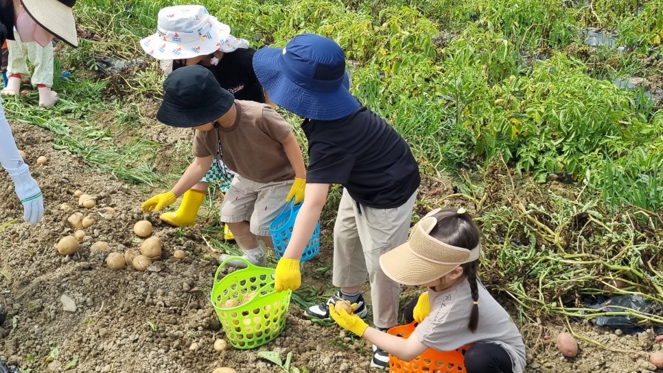 발동동체험마을영농조합 이미지