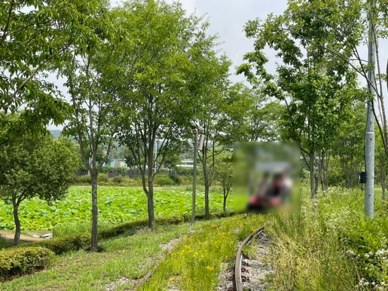스프링데이봄날 이미지