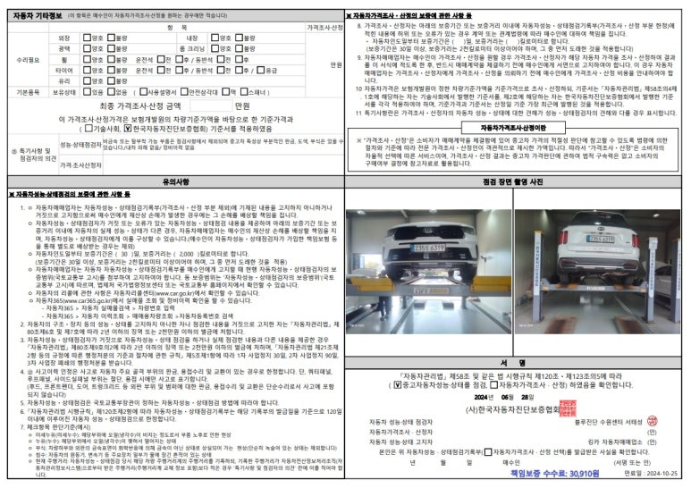 킹카와시 이미지