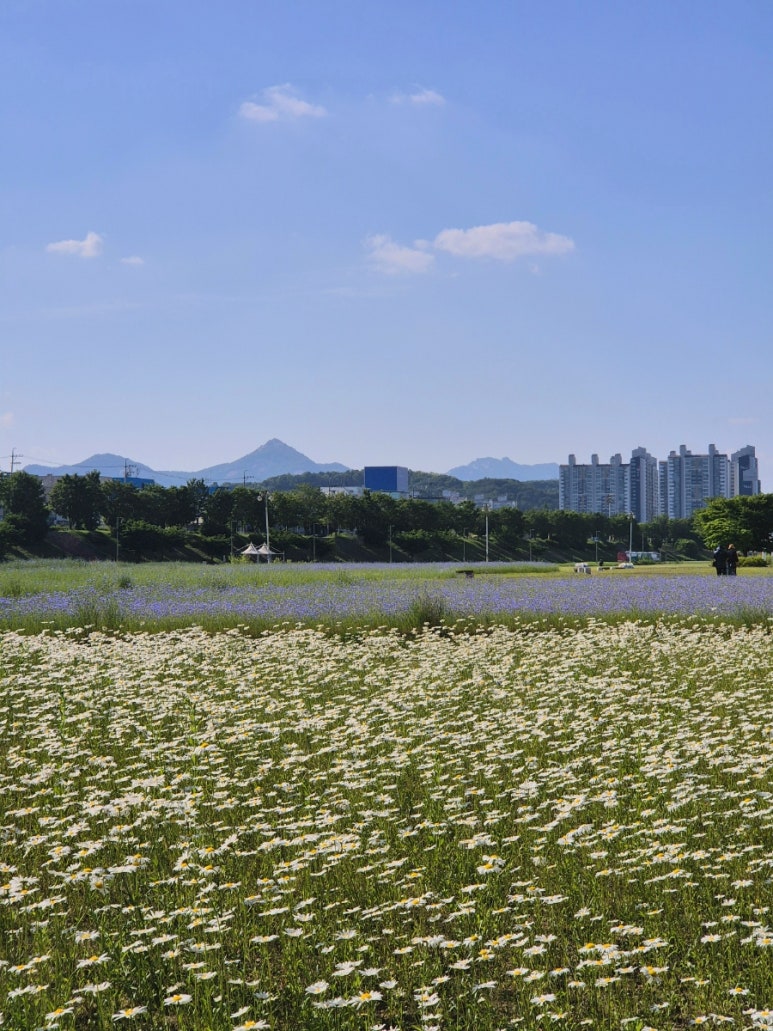 꼬지사께 태전점 이미지