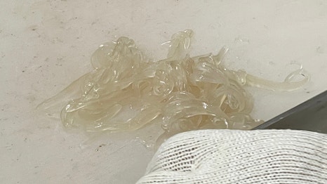 앞산산오징어 이미지