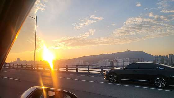 동신참치 이미지