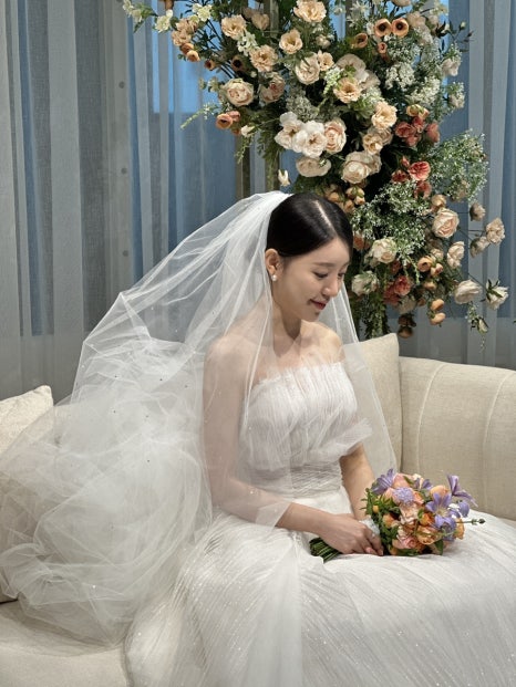 브리이에 이미지