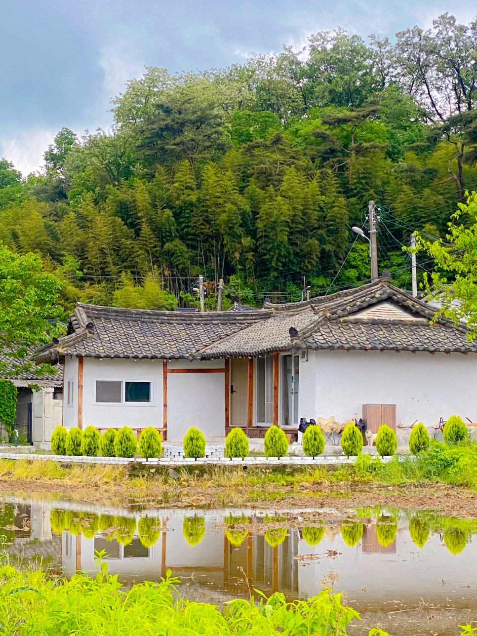 죽림서정이네 이미지