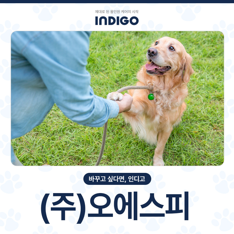 (주)고양이스튜디오 이미지