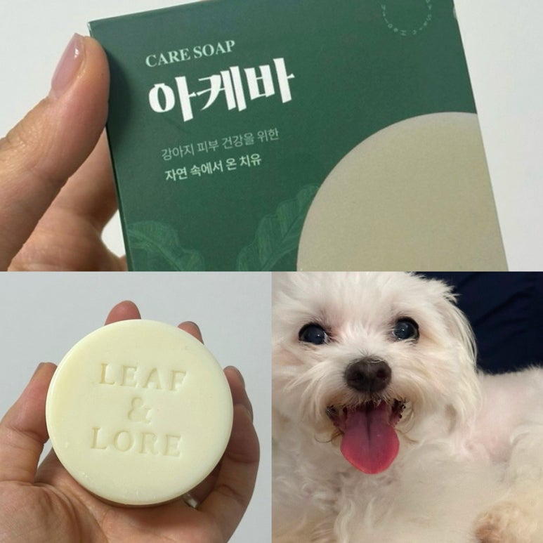리프앤바인 이미지