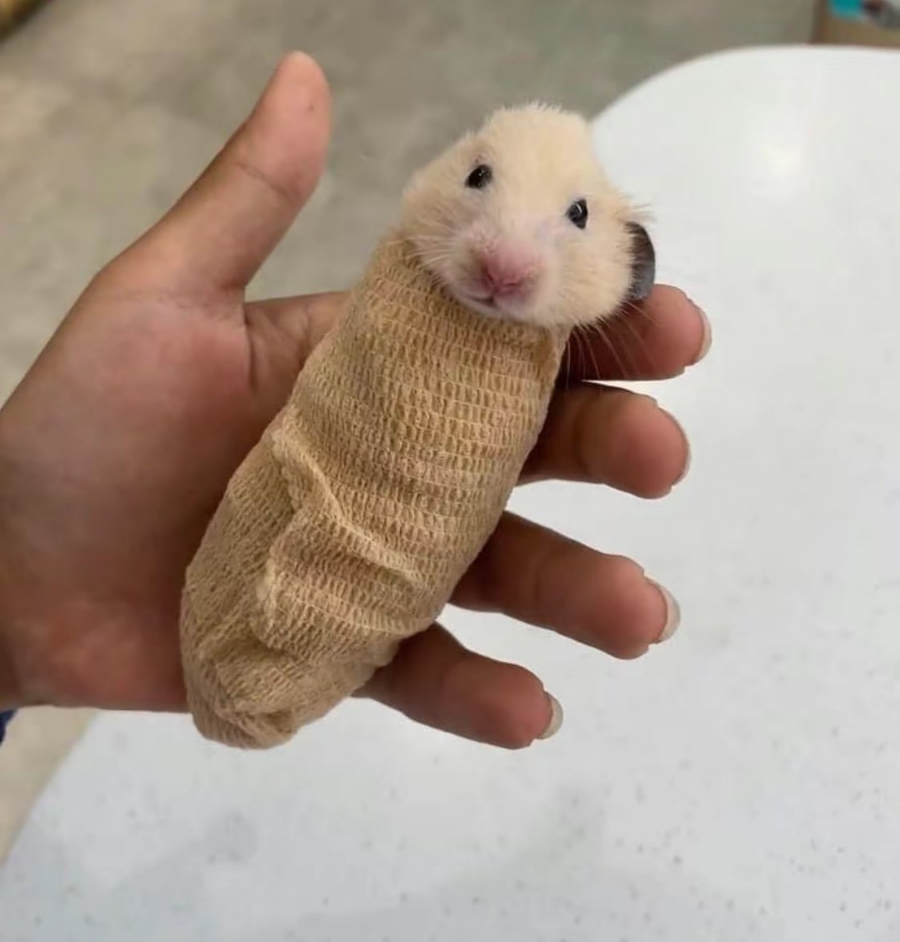 여보세요 이미지